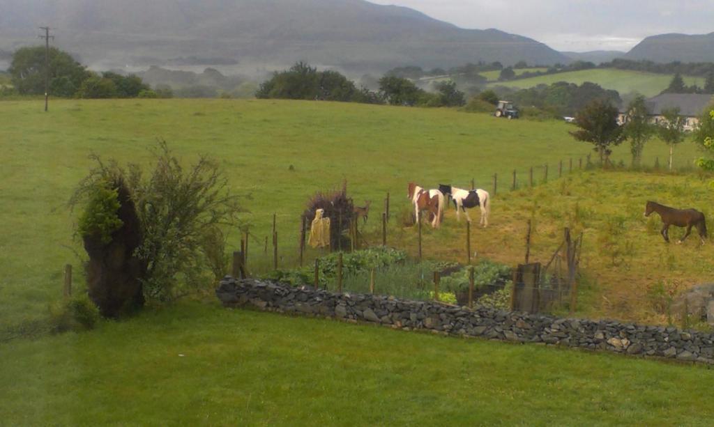Dunn Court House Bed and Breakfast Killarney Eksteriør billede