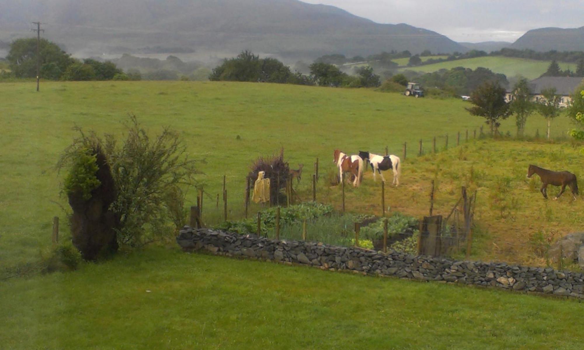 Dunn Court House Bed and Breakfast Killarney Eksteriør billede